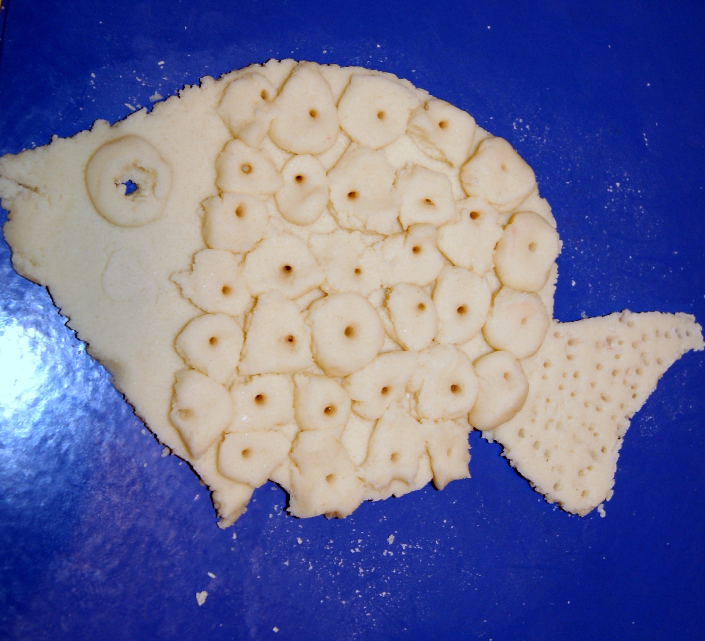 dsc05295.jpg dsc05295.jpg