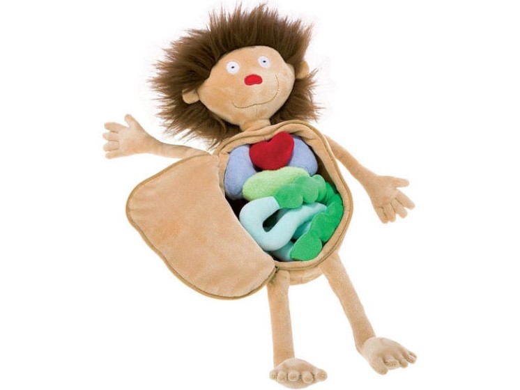 Пациент со вскрытыми внутренностями Пациент со вскрытыми внутренностями