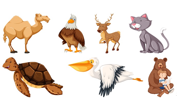 Сказка про башмачки Сказка про башмачки