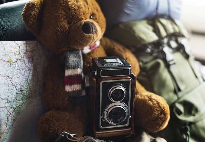 Мишка с камерой Мишка с камерой