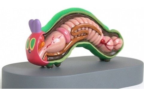 Занимательная наука: изучать анатомию помогут игрушки Занимательная наука: изучать анатомию помогут игрушки