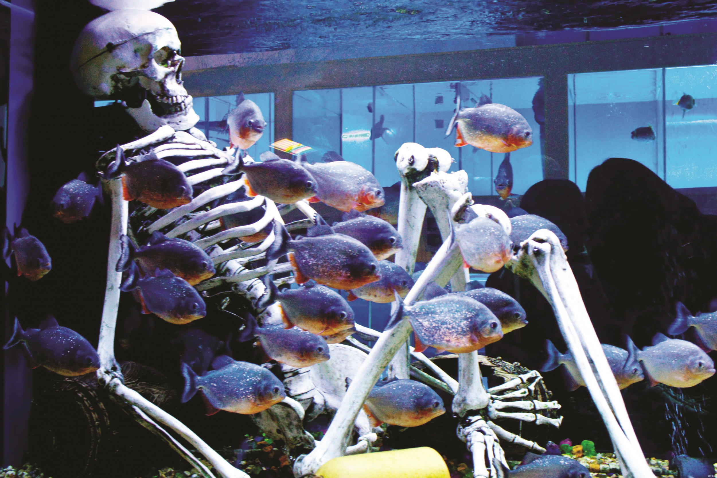 72188064_b.jpg 72188064_b.jpg