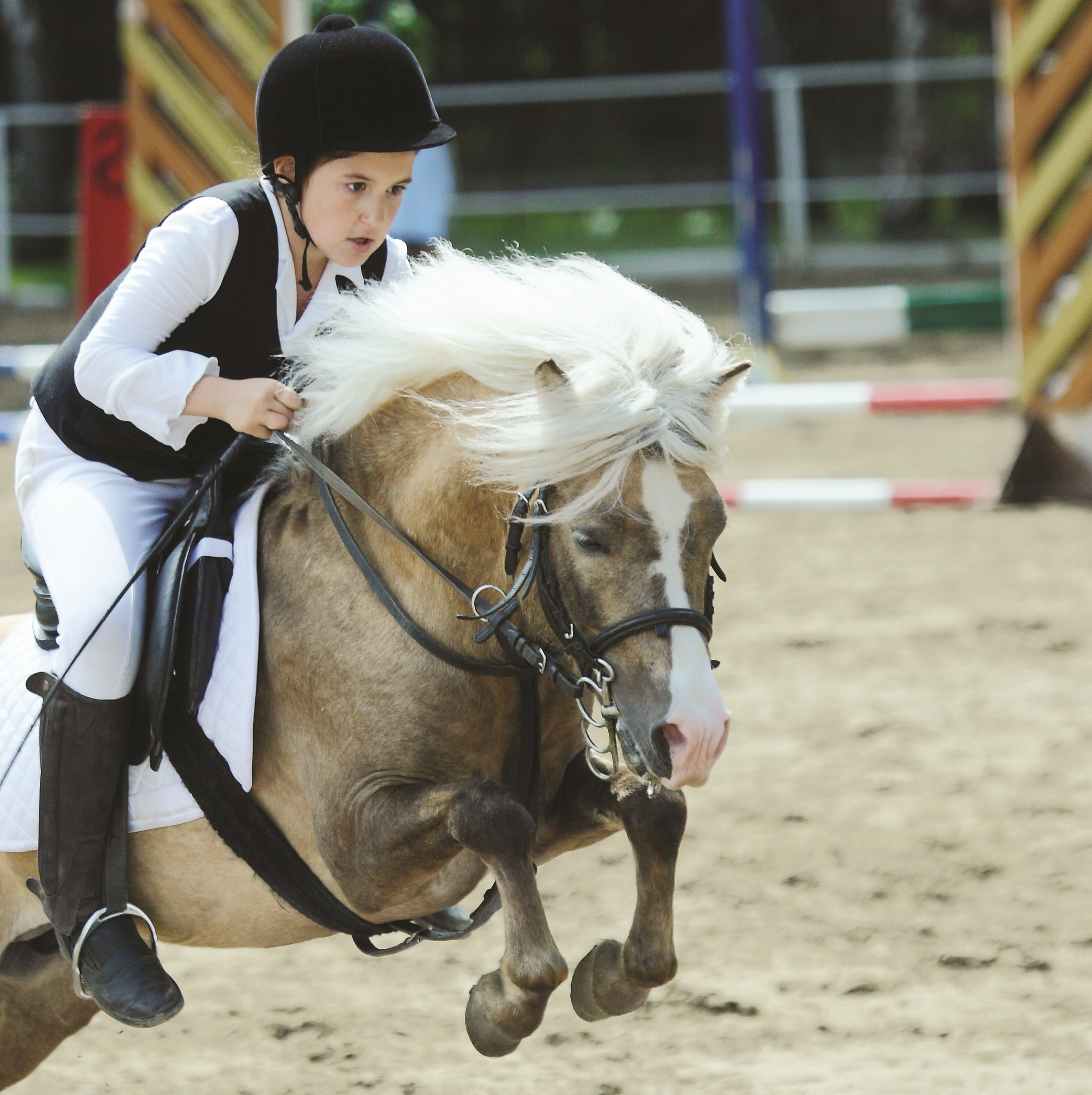 Скачки на пони Скачки на пони