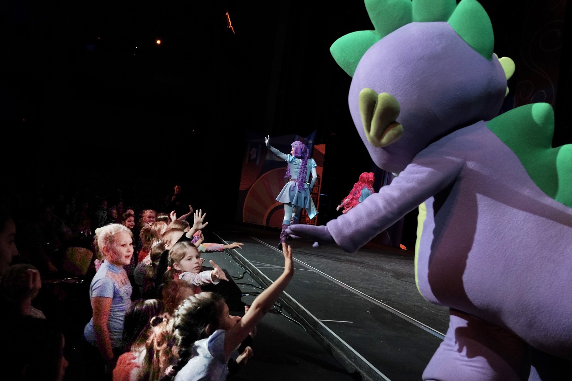 DSCF2875_1.jpg DSCF2875_1.jpg