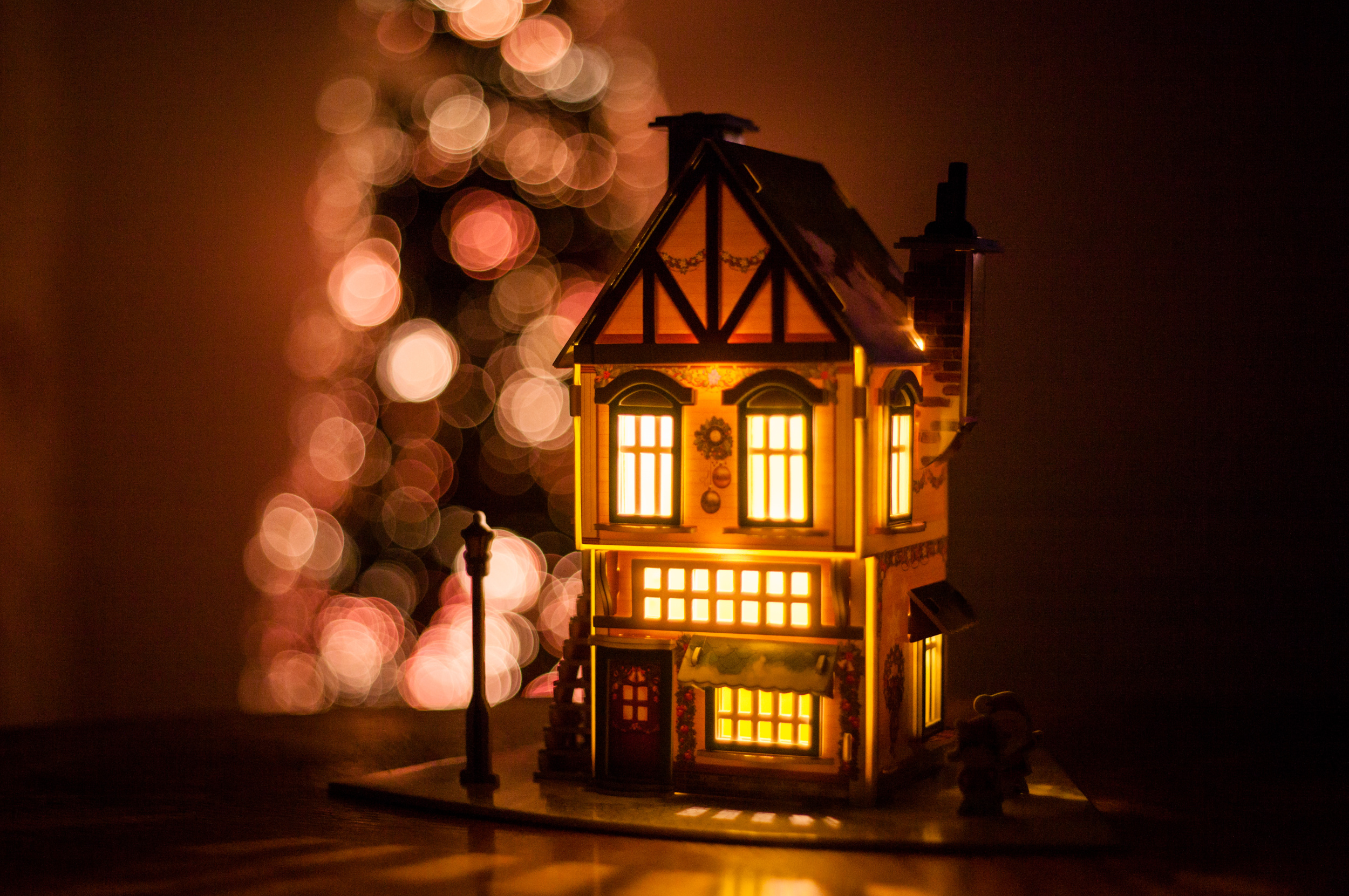 3 winter-house-made-cardboard.jpg