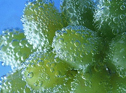 opyt_s_vodoi.jpg opyt_s_vodoi.jpg