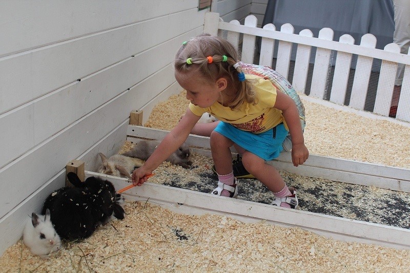 зоо2.jpg зоо2.jpg