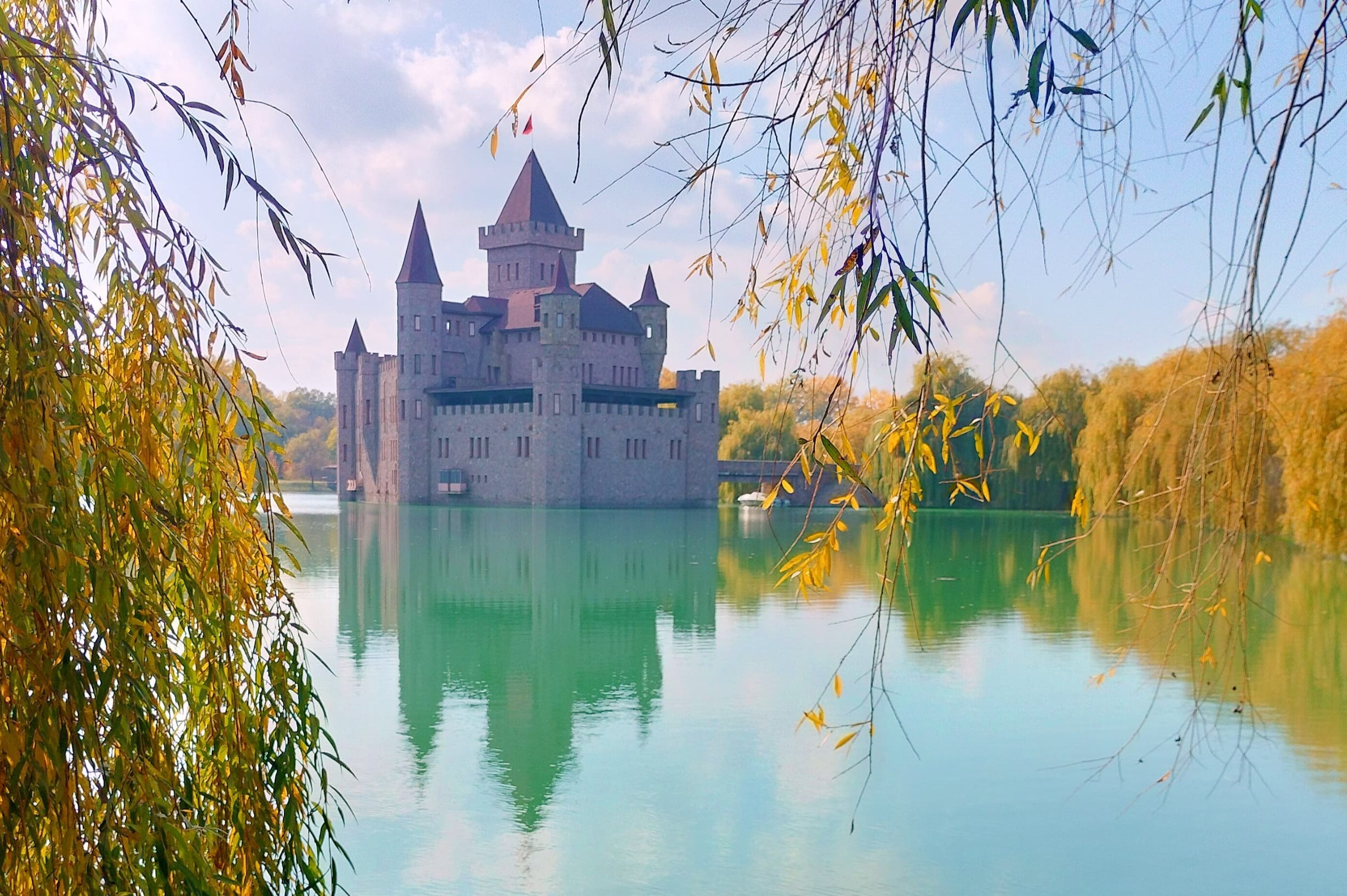 01 IMG-20250120-WA0053.jpg