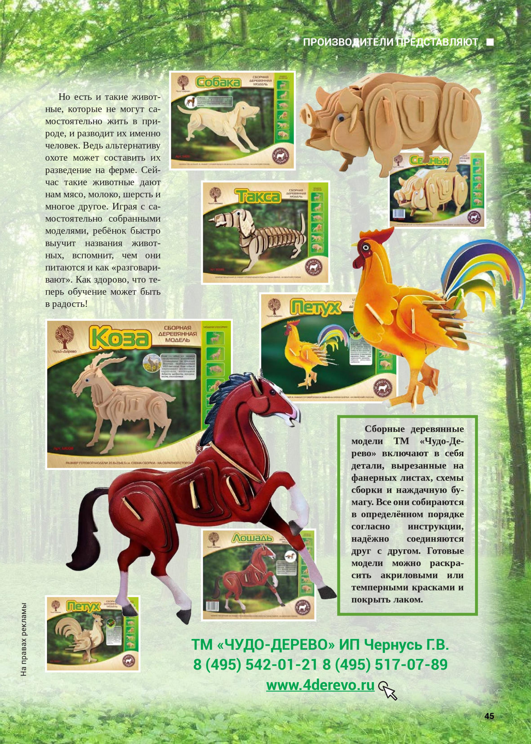 Чудо-дерево Чудо-дерево