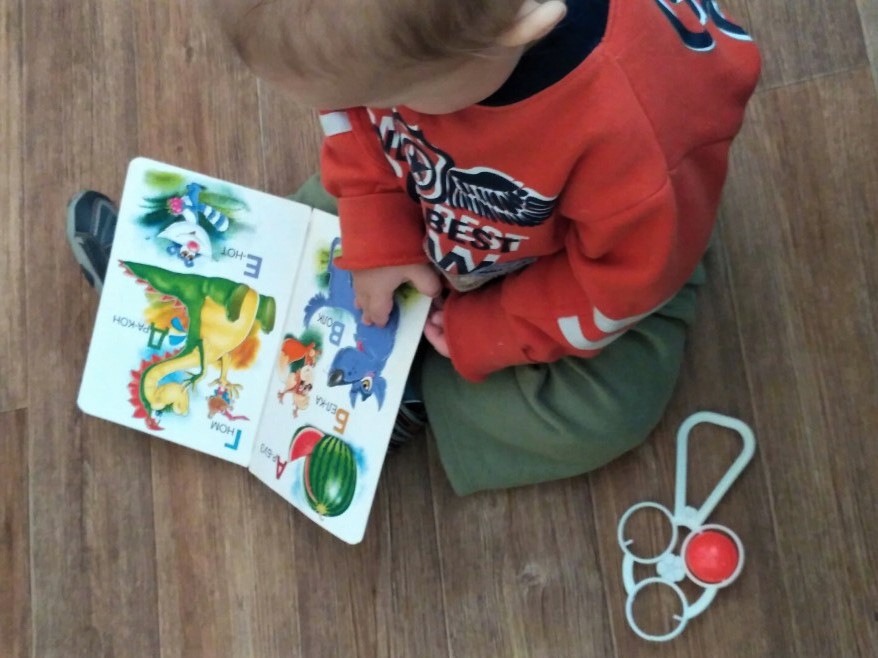 IMG_20170515_142900.jpg IMG_20170515_142900.jpg