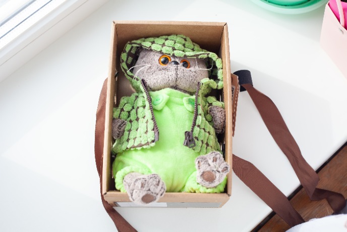 Текстильная кукла в подарочной коробке.jpeg