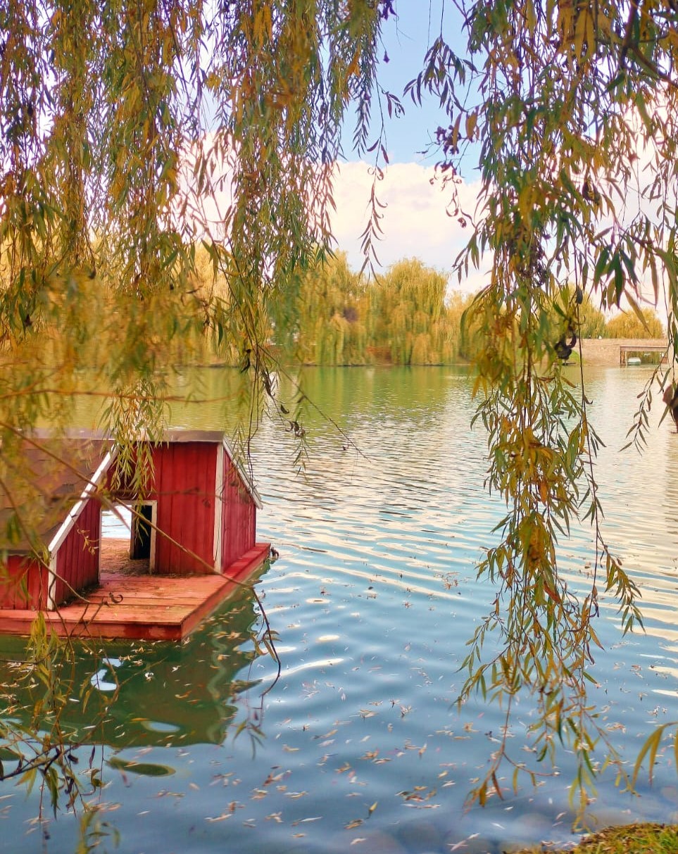 03 IMG-20250120-WA0046.jpg