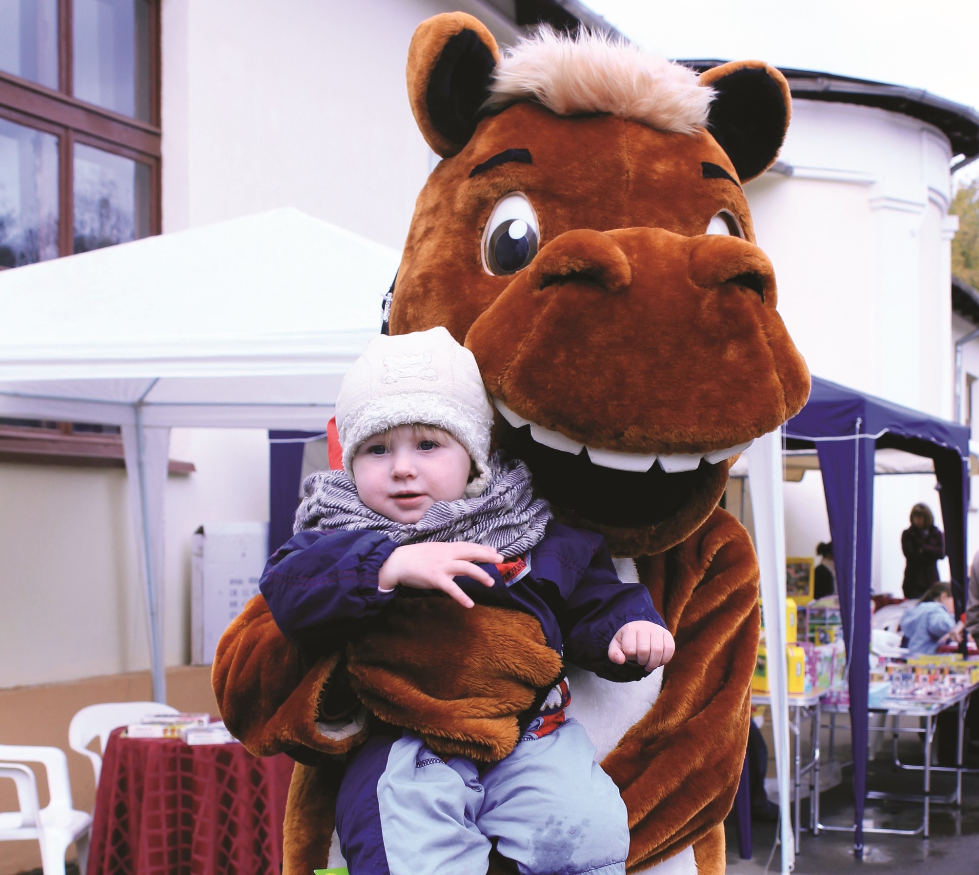 Большой Московский пони-клуб «Измайлово» Большой Московский пони-клуб «Измайлово»