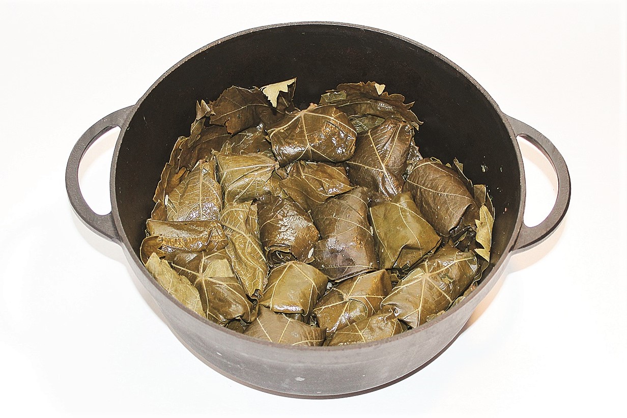 IMG_8617.jpg IMG_8617.jpg