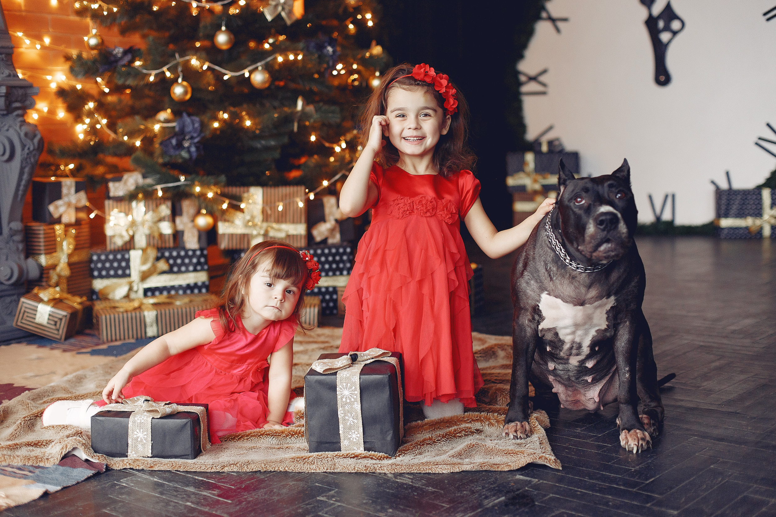 7 happy-child-dog-with-christmas-gift-child-red-dress-baby-having-fun-with-dog-home-xmas-holiday-concept.jpg 7 happy-child-dog-with-christmas-gift-child-red-dress-baby-having-fun-with-dog-home-xmas-holiday-concept.jpg