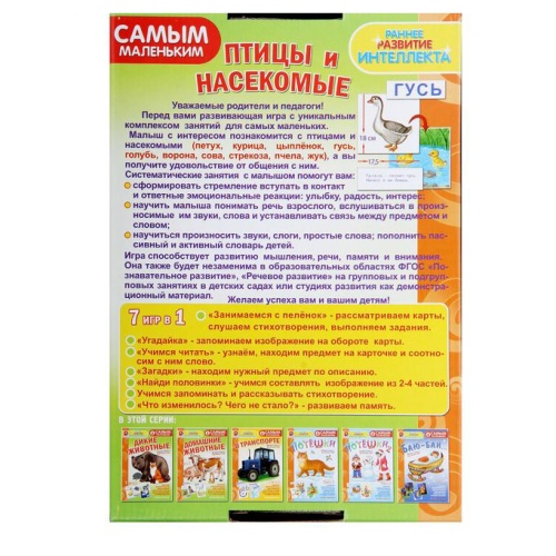 Настольная игра самым маленьким «Птицы и насекомые», Радуга