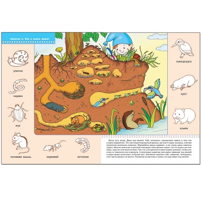 Развивающее пособие «Школа семи гномов. Кто где живет?» от 2х до 3х лет, Мозаика Синтез
