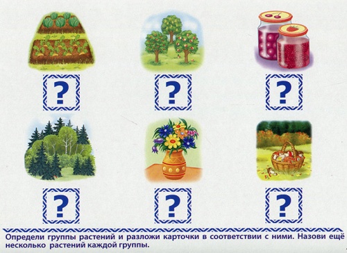 Развивающая игра «Готов ли ребенок к школе? Мир вокруг нас», Радуга