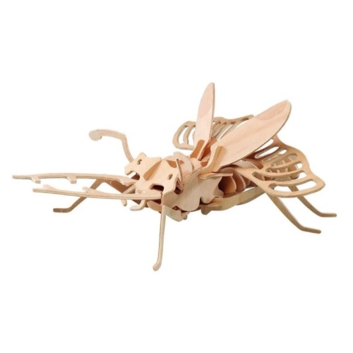 Сборная деревянная модель «Жук-холостяк», Чудо-дерево