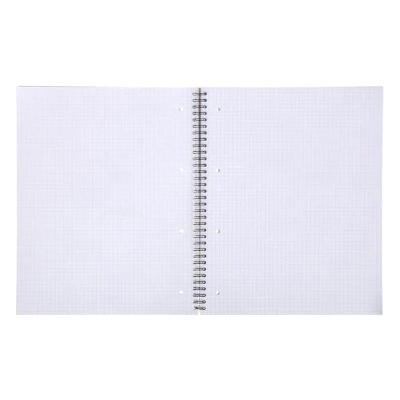 Бизнес-тетрадь на спирали Herlitz Pussy Deluxe, A4