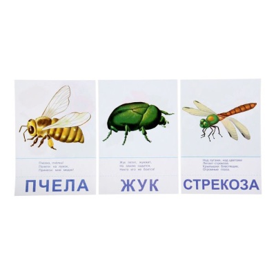 Настольная игра самым маленьким «Птицы и насекомые», Радуга