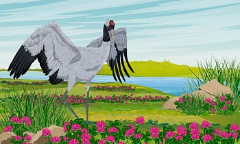 Журавль и Цапля