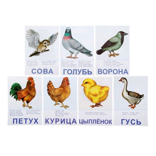 Настольная игра самым маленьким «Птицы и насекомые», Радуга