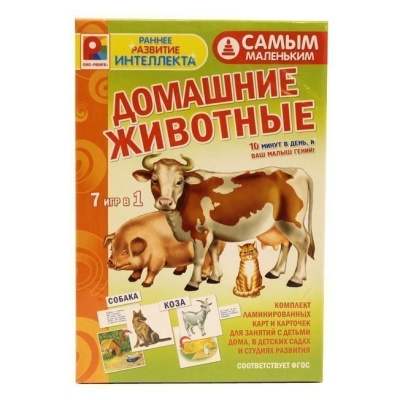 Настольная игра самым маленьким «Домашние животные», Радуга