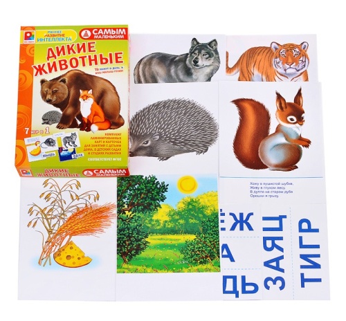 Настольная игра самым маленьким «Дикие животные», Радуга