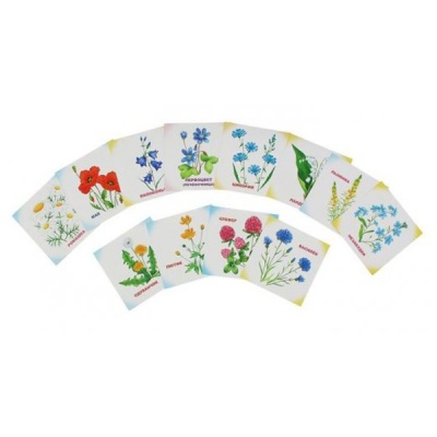 Обучающие карточки «Цветы»