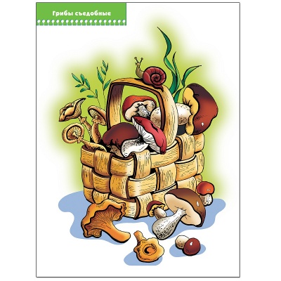 Развивающее пособие «Школа семи гномов. Что лежит в лукошке?» от 3х до 4х лет, Мозаика Синтез