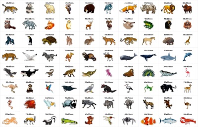 Комплект деревянных магнитов «Животный мир»