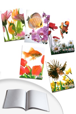 Тетрадь А5 Blasetti