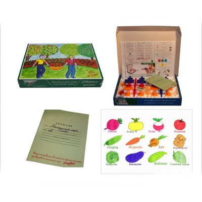 Настольная игра «Сканбол. Собираем урожай. Лимитированная серия», Сканбол