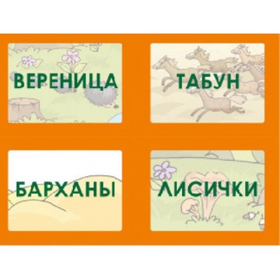 Игровое пособие «О чем речь? Из блокнота натуралиста», Ребус