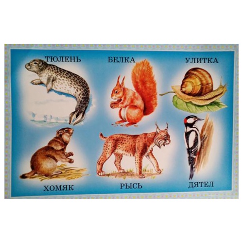 Развивающее лото «Угадай животных», ЮНСИ