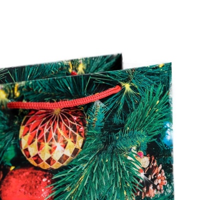 Пакет ламинированный «Волшебного Нового Года», MS