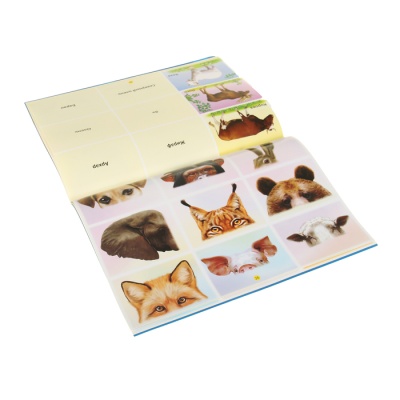 Учебно-игровое пособие «Логический экран» + 4 альбома