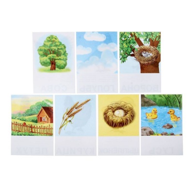 Настольная игра самым маленьким «Птицы и насекомые», Радуга