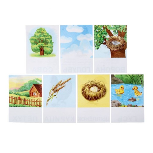 Настольная игра самым маленьким «Птицы и насекомые», Радуга