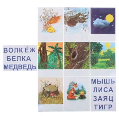 Настольная игра самым маленьким «Дикие животные», Радуга