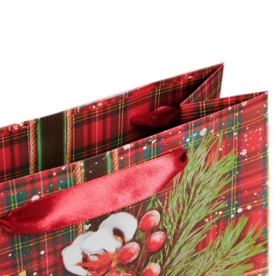 Пакет ламинированный «Теплые пожелания», MS