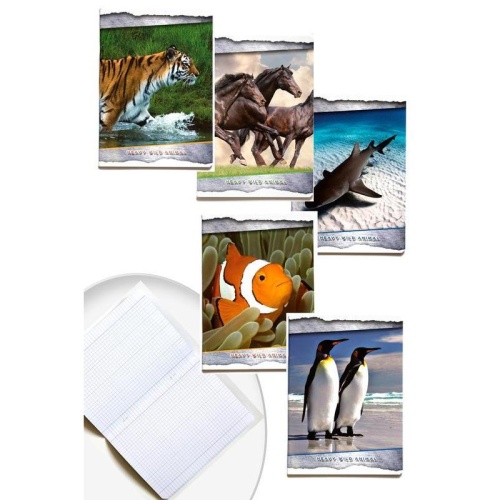 Тетрадь А5 Blasetti