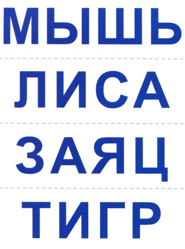 Настольная игра самым маленьким «Дикие животные», Радуга