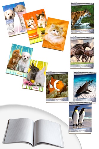 Тетрадь А5 Blasetti