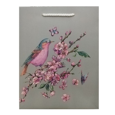 Пакет подарочный Dream Cards «Весеннее чудо»