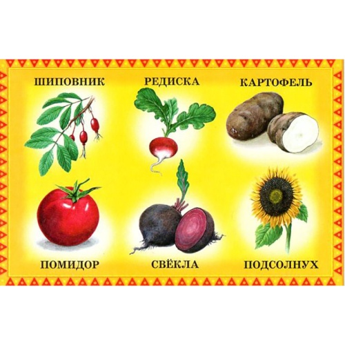 Развивающее лото «Дары лета», ЮНСИ