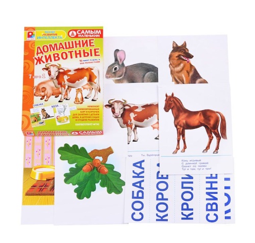 Настольная игра самым маленьким «Домашние животные», Радуга