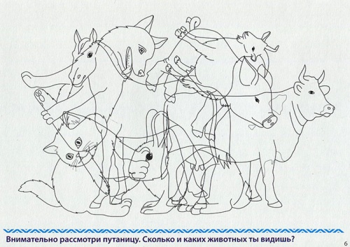 Развивающая игра «Готов ли ребенок к школе? Внимание», Радуга